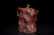 Chinese Jiang Rong's Bionic Tree Root And Plum Pattern - 8