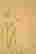 item-106109453=4