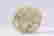 item-108575561=4