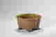 item-131322731=4