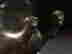 item-131322786=9