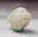 item-45013061=3