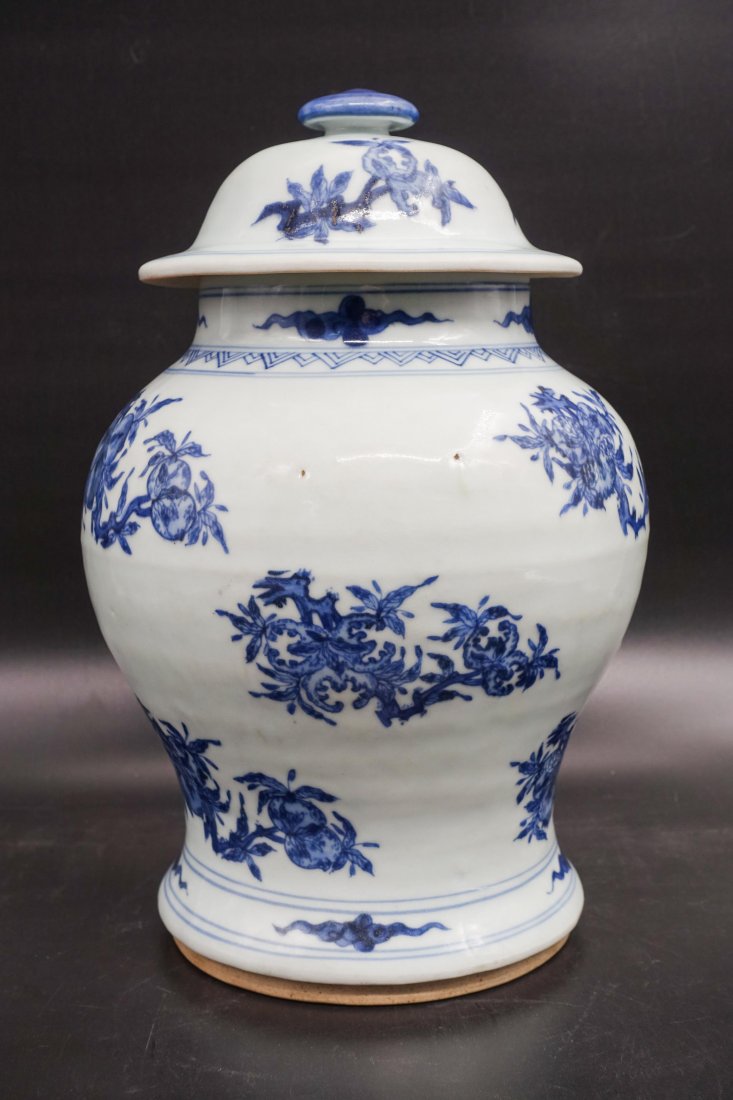 Chinese Blue And White Ginger Jar: Ming dynasty. Condition: one chip on edge of the cover. Height: 30 cm.
