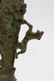 LURISTAN BRONZE AXE AND KNIFE - 3