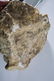 ROMAN STYLE STONE HEAD - 2