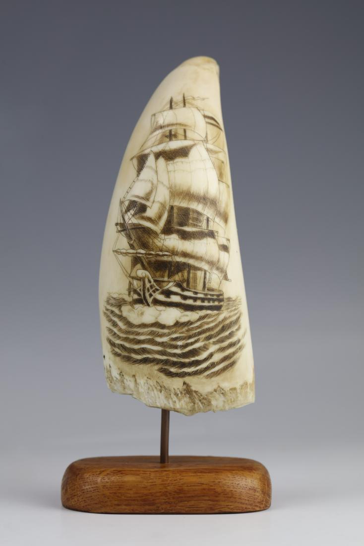 19th Century Scrimshaw Whale Tooth Moby Dick Pequod: 19th century scrimshaw depicting the whaling ship Pequod of captain Ahab from Moby Dick, an 1851 novel by American writer Herman Melville. H: 5.125 W: 2.25 Inches Weight: 230 Grams