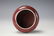 A Copper Red Glazed Porcelain Water Pot with Spoon - 5