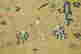 item-118696818=3