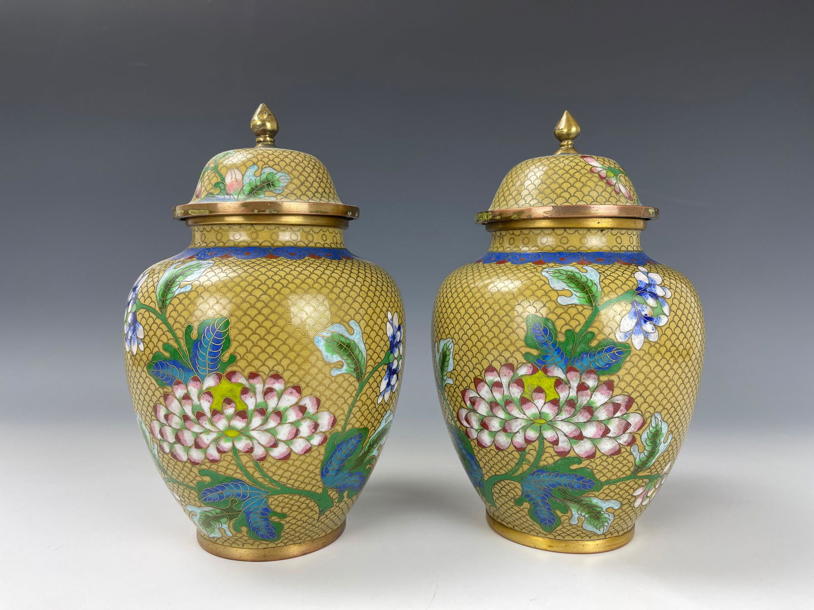 A Pair of Chinese Cloisonne Vases (1 of 5)