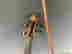 item-134033155=3
