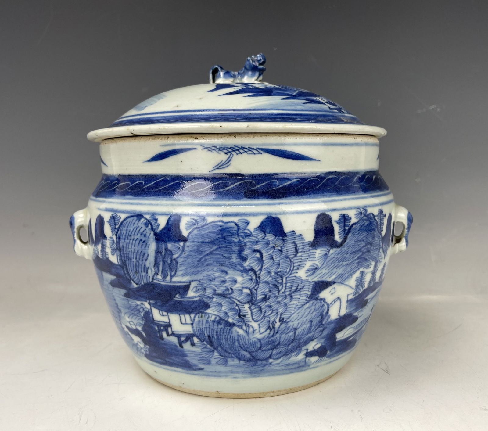 Chinese Blue and White Porcelain Covered Soup Container (1 of 12)