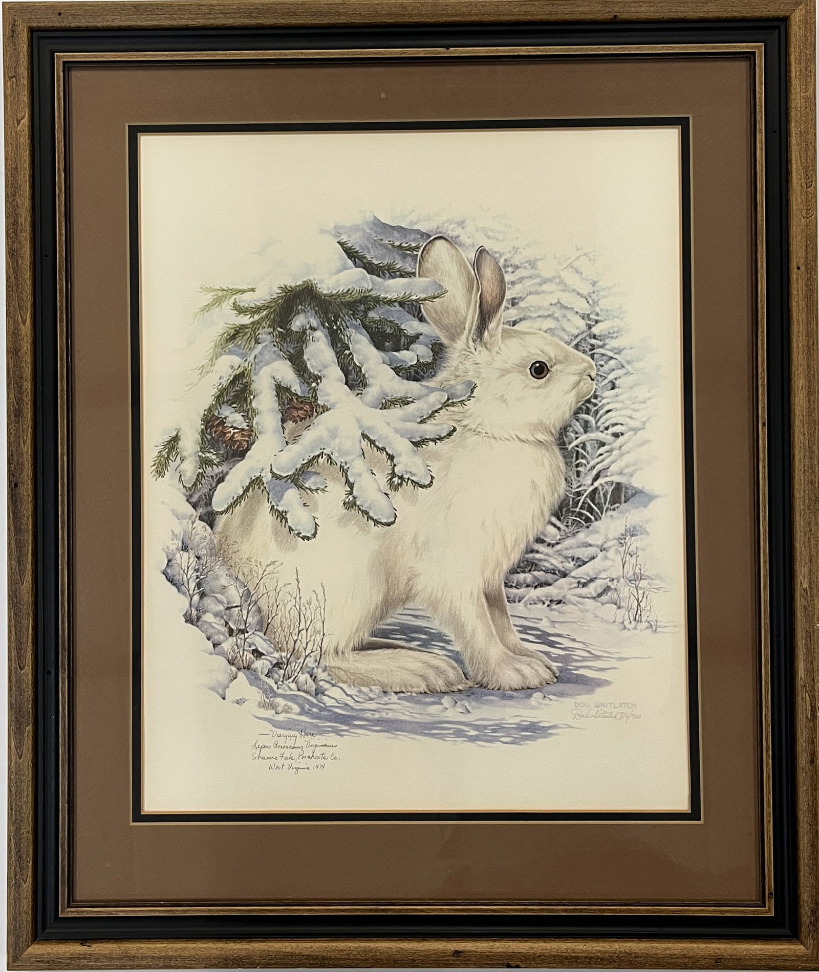 DON WHITLATCH SIGNED COLOR LITHOGRAPH VARYING HARE (1 of 7)