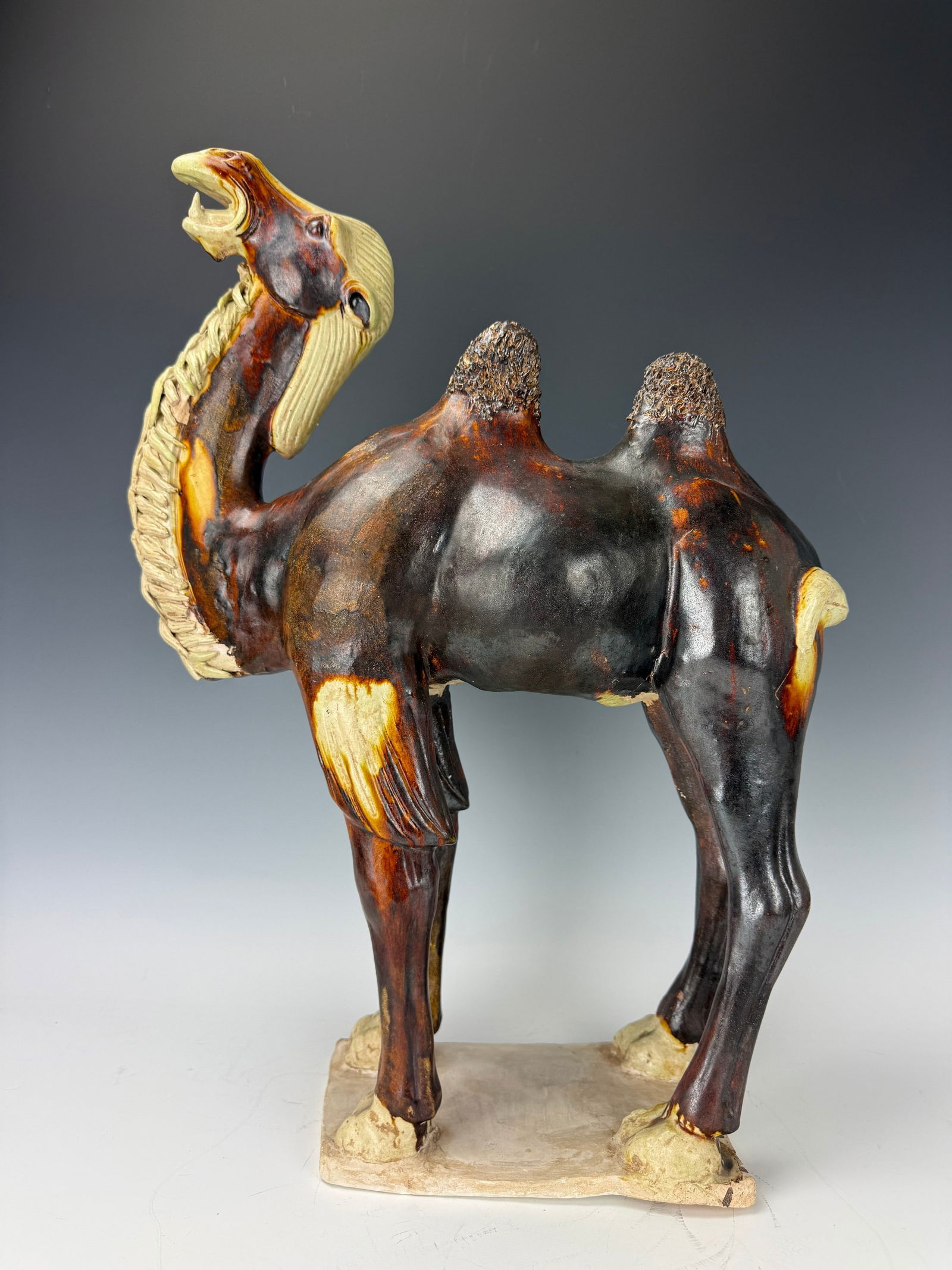 A Chestnut And Straw Glazed Pottery Figure of A Bactrian Camel,Tang Dynasty (AD 618-907),H 53.3 (1 of 9)