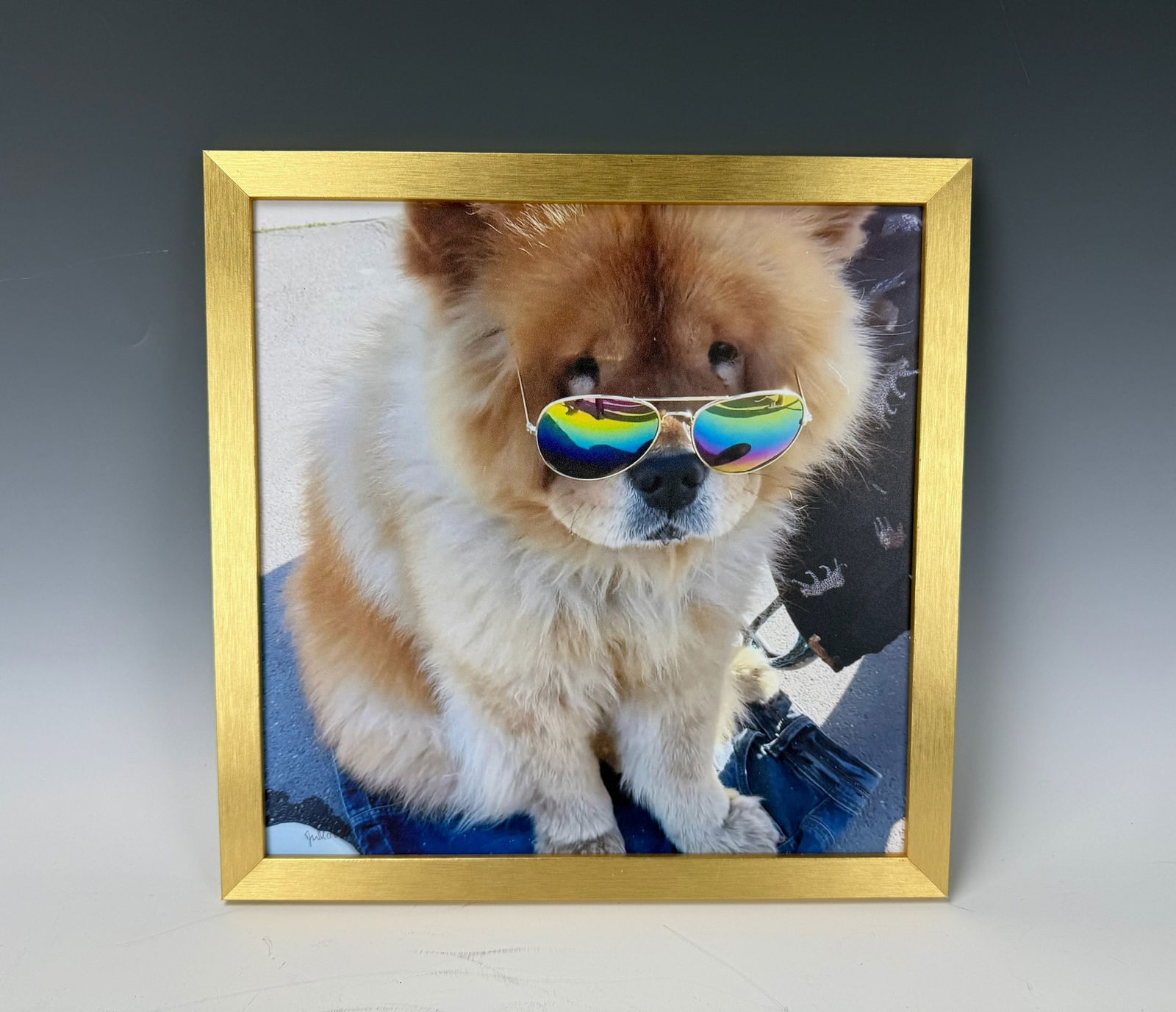 TOO COOL TO BARK Mixes Meadia on Paper by Joseph Malinsky: Too Cool to Bark,Mixes meadia on Paper by Joseph Malinsky,size 13 x13 inches.A playful portail that blends humor and attitude,transforming a fmiliar companion into a character of quiet confidence.The