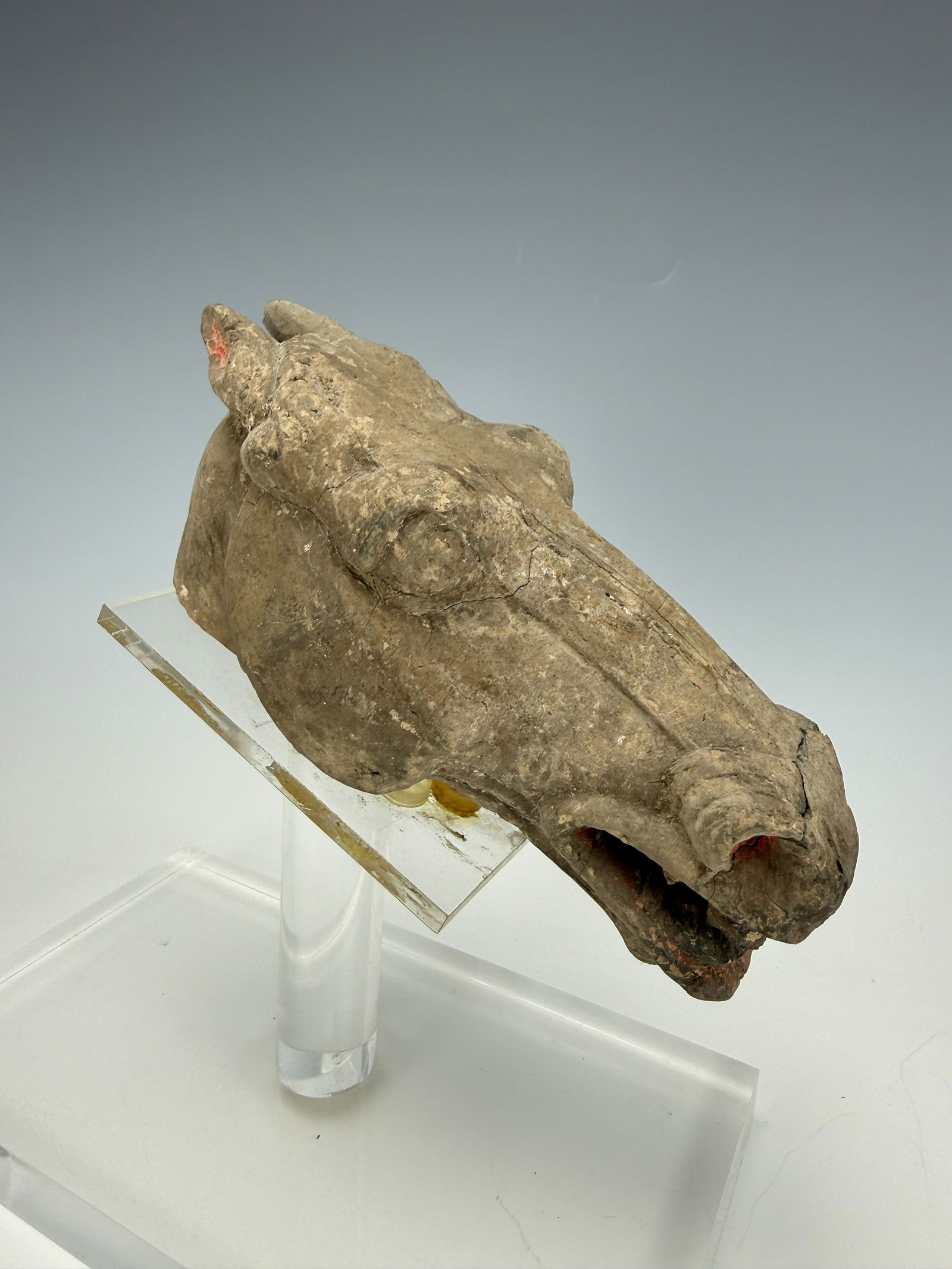 Chinese Han Dynasty Grey Pottery Horse Head 206 BC to 221 AD: Chinese Han Dynasty Grey Pottery Horse Head (206 BC -221 AD),size W 17 cm (6.7in) x D 6 cm (2.5 in). Provenance from Dr. Constantine collection, Acquired directly from TK Asian Antiquities.Preview fro