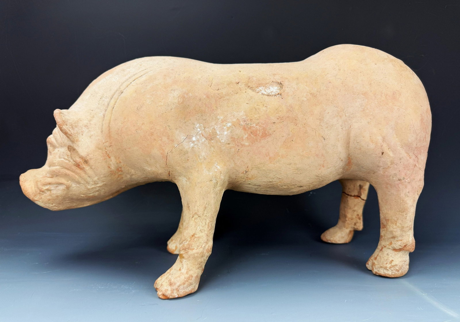 A Chinese Han Dynasty Terracotta Pig Effigy (1 of 6)
