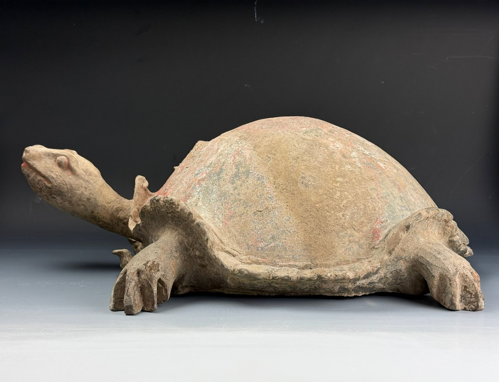 large Chinese Han Dynastypottery Figure of Turtles: A large pottery figure of turtles, Han dynasty. W 58cm(22.8in.) x D 45cm(17.7in.) x H 22cm(8.7in.). China, 206 BC-220 AD. Heavily potted, the large tortoise stands with its head slightly raised. The b