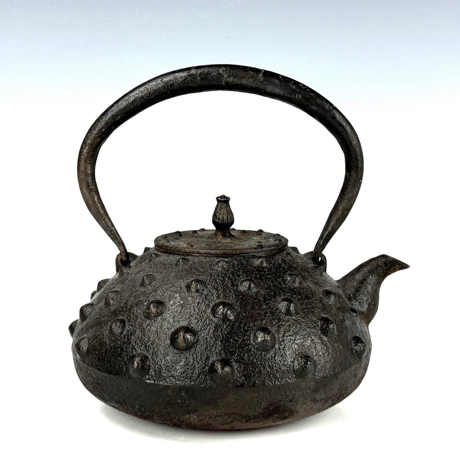 A Japanese Cast Iron Tetsubin Teapot (1 of 5)