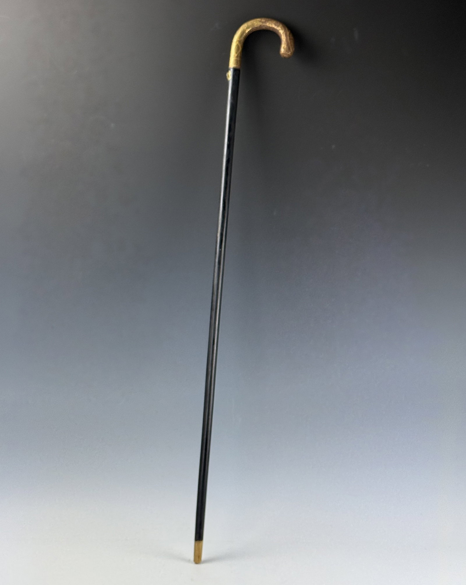 19th Century English Sword Cane (1 of 5)