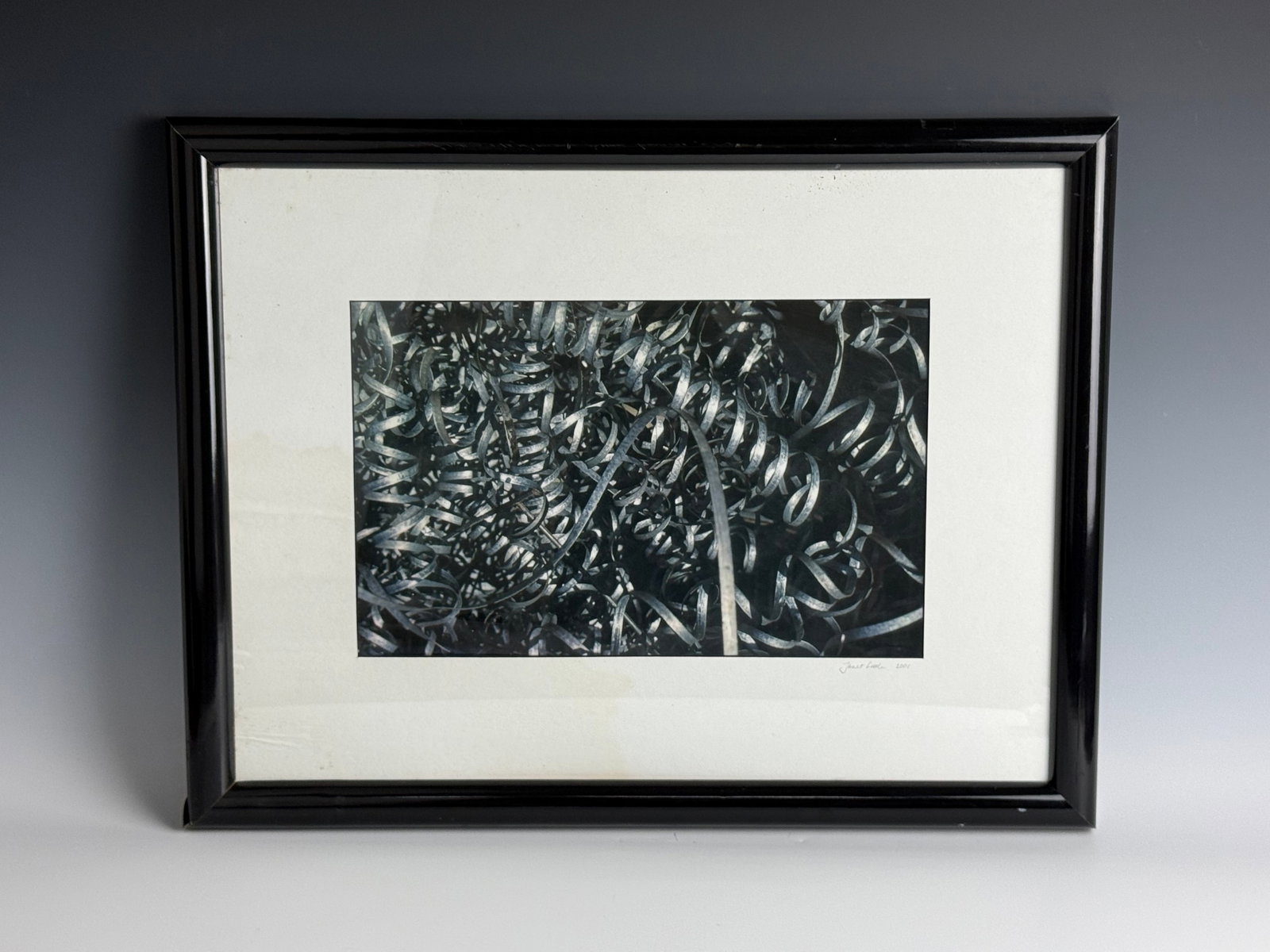 Framed Black and White Print Signed by Janet Little 2001