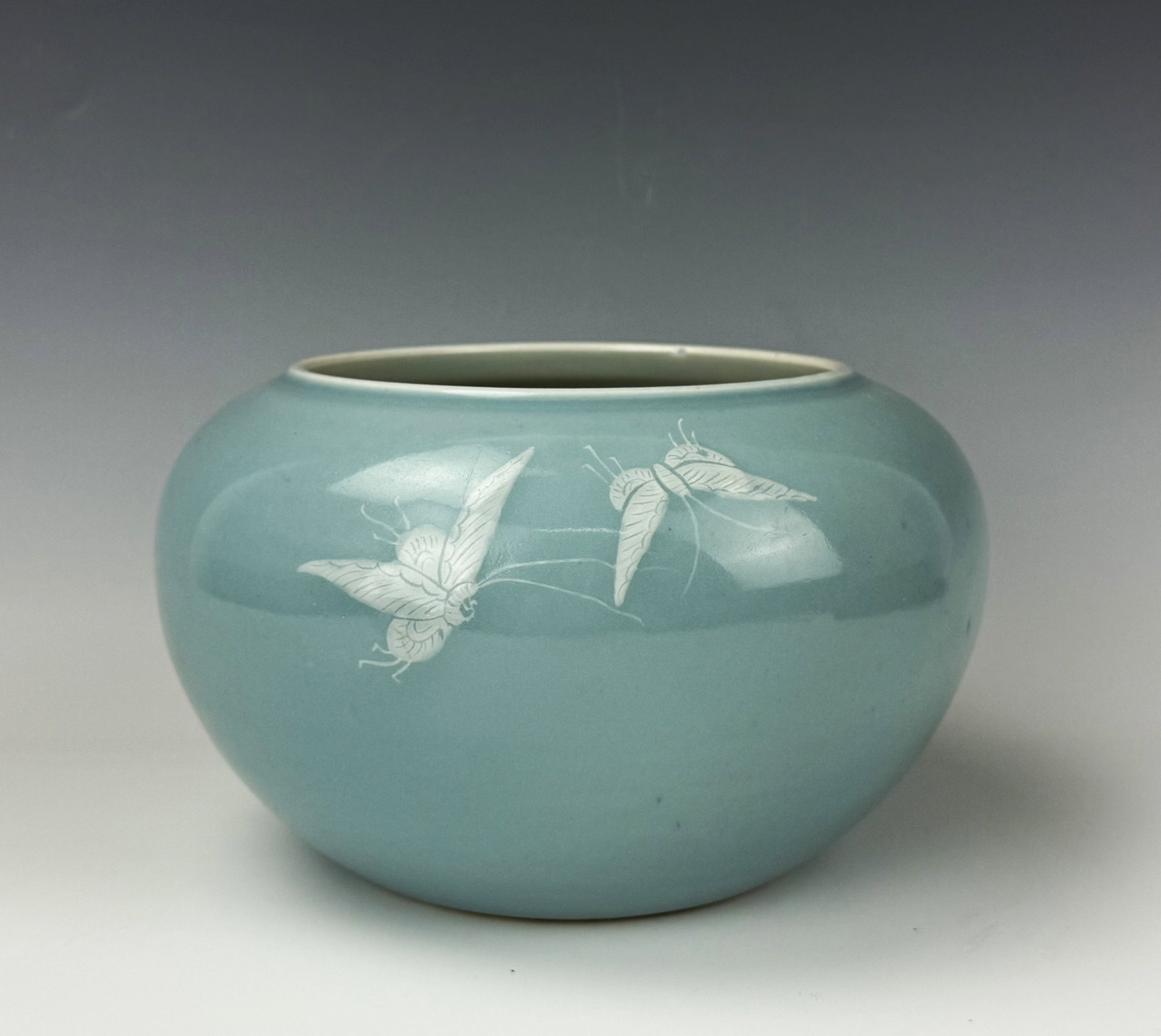Chinese Sky Blue Glazed Porcelain Water Pot 19th Century: Chinese Sky Blue Glazed Water Pot with White Orchids, 19th Century. D 23 cm(9.1 in.) x H 14 cm(5.5 in.). Preview from Aug 24th to 28th from 1:00 PM TO 5:00 PM Eastern Time, Location: 15229 Display Cou