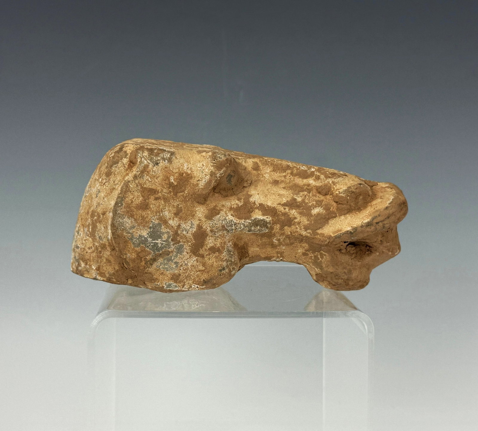 A Han Dynasty Terra Cotta Pottery Horse Head (1 of 4)