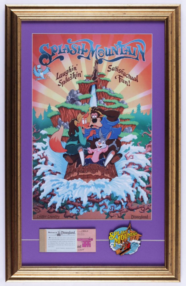 Disneyland "Splash Mountain" 16x25 Custom Framed Print (1 of 3)