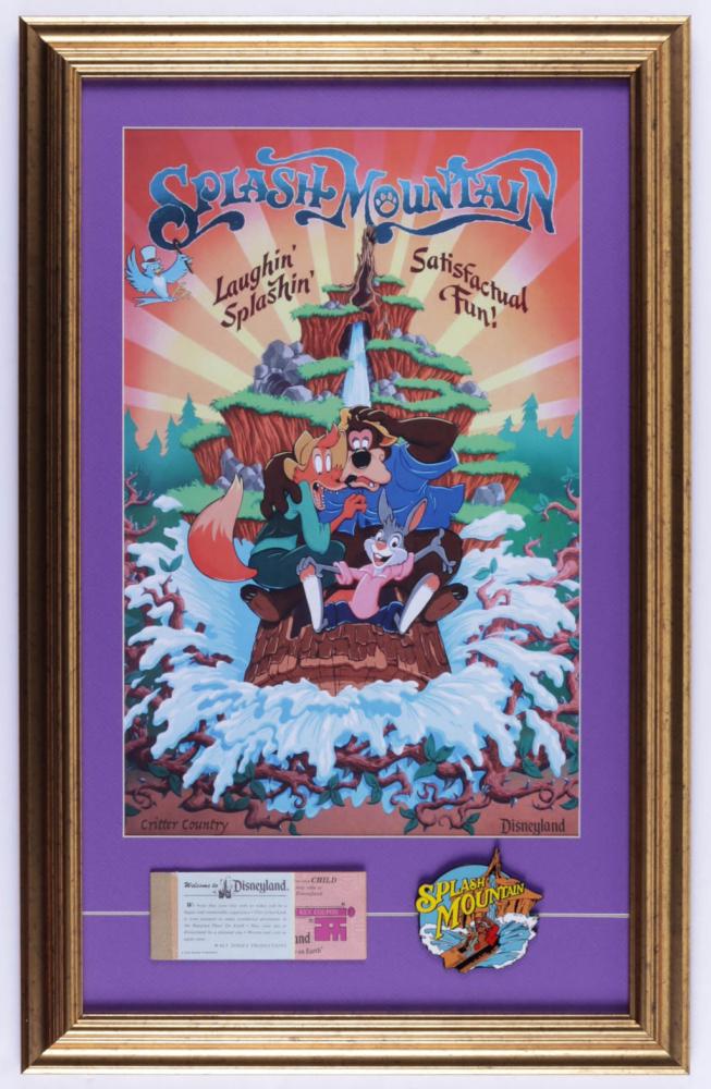 Disneyland "Splash Mountain" 16x25 Custom Framed Print (1 of 1)