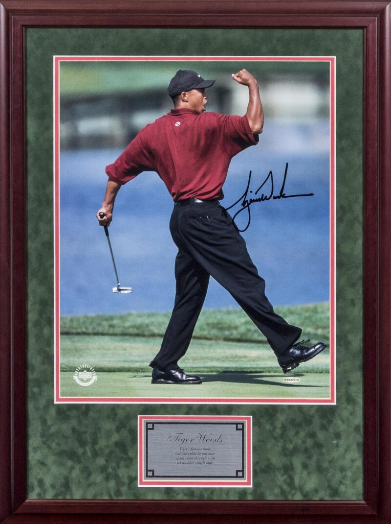 Tiger Woods Signed 16x20 Autograph Photo, Iconic Fist (1 of 1)