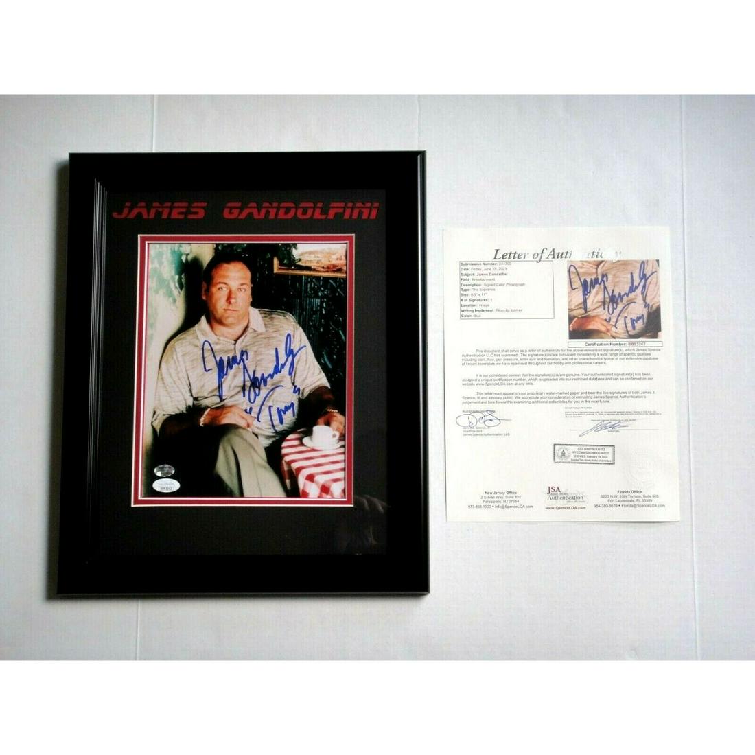 JAMES GANDOLFINI "TONY" SIGNED 8X10 PHOTOGRAPH (JSA LOA) (1 of 1)