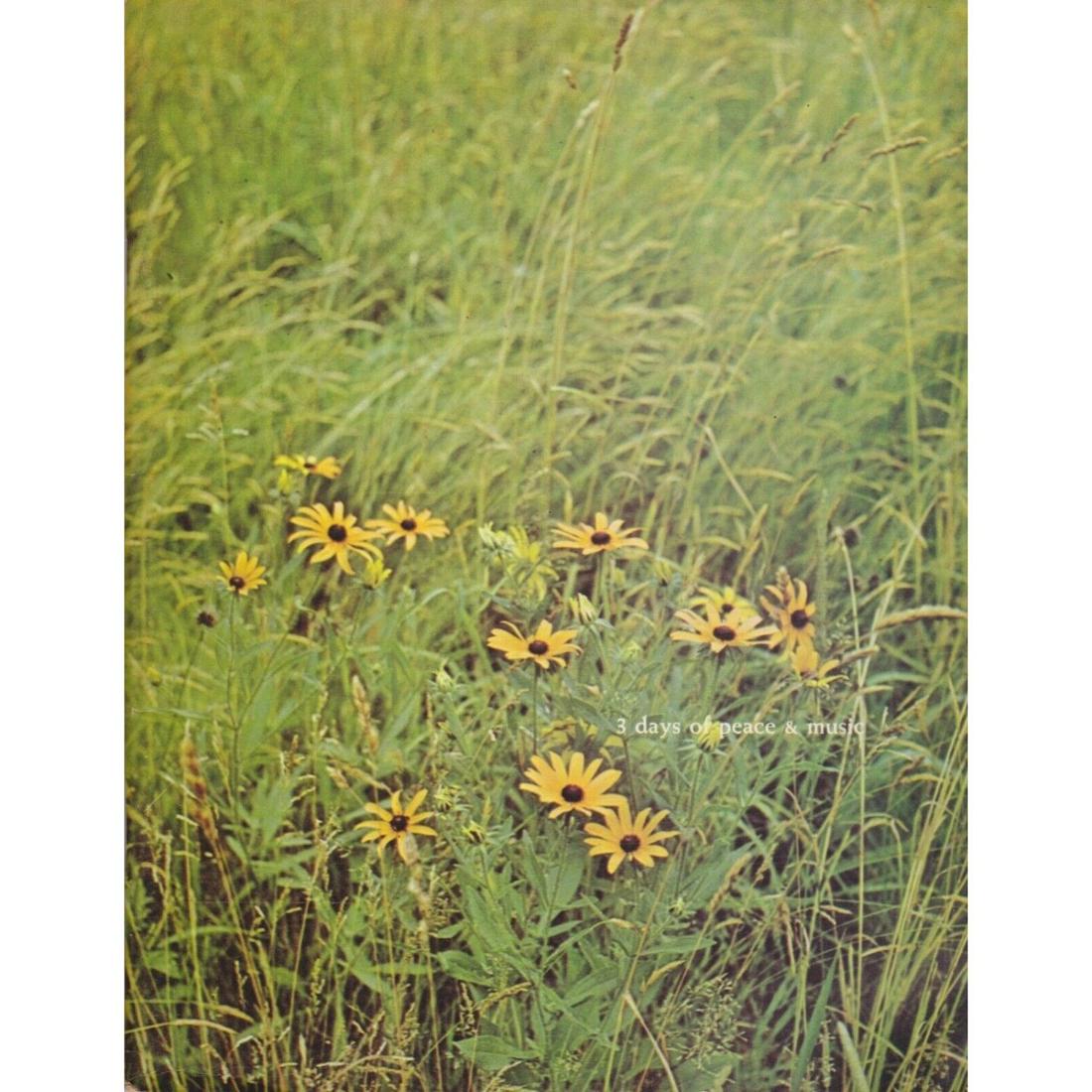 RARE Woodstock Original 1969 Music & Art Fair Program (1 of 1)