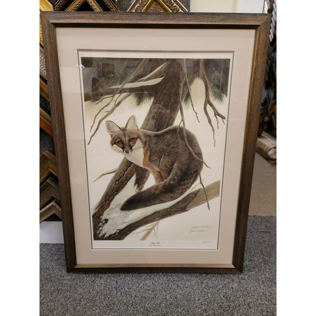 John A. Ruthven "Gray Fox" Print Signed BRAND NEW PRO FRAMEWORK (0044