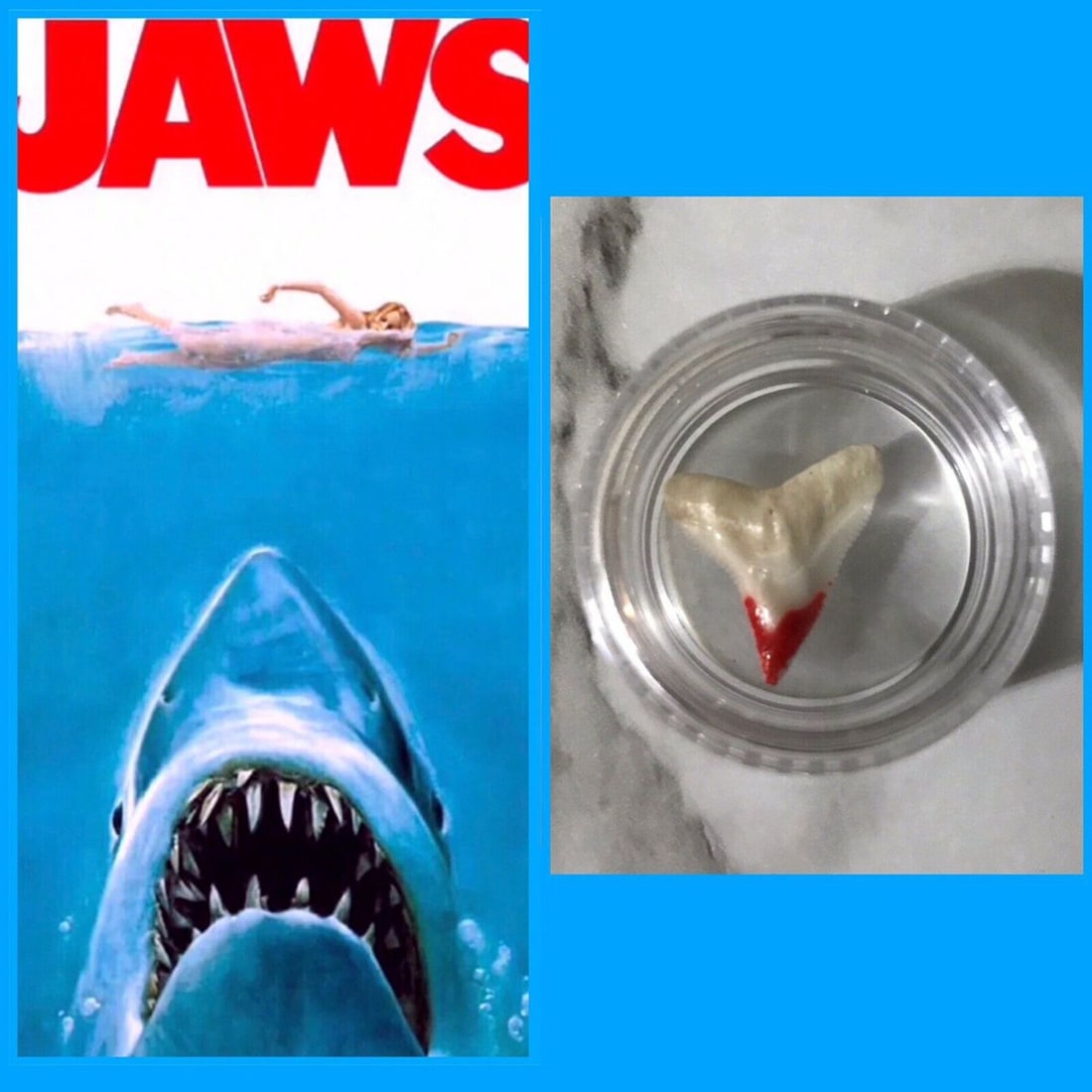 RARE Original Jaws Blood Movie Prop Production Screen Used: RARE Original Jaws Blood Movie Prop Production Screen Used