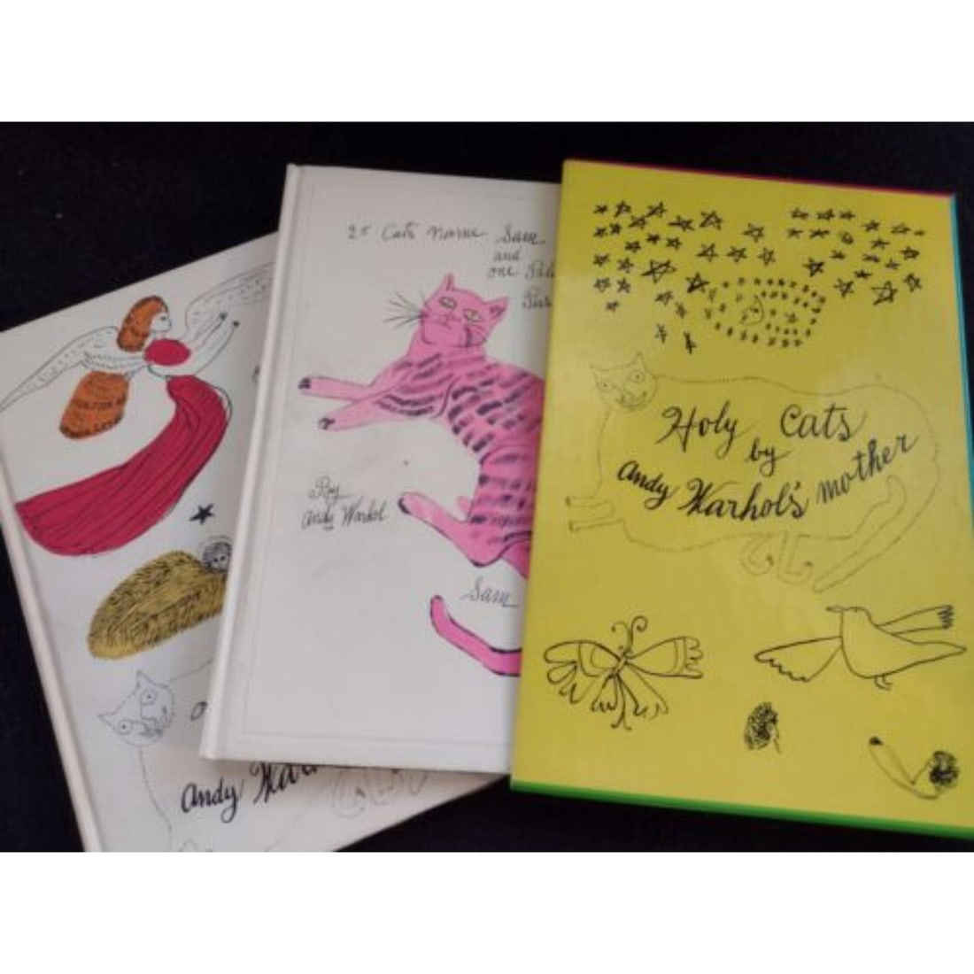 25 Cats / By Andy Warhol Rare 1st Edition Bonus Diaries included (1 of 1)