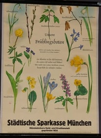 Vintage Mural Wall Chart Botanic Flowers Heralds Harbingers of Spring