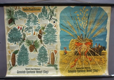 Countrylife Vintage Rollable Wallchart Conifers and Grain