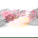 NEW DAUM CRYSTAL ROSES DECORATIVE BOWL PINK NIB