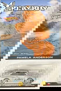 Ford Escort RS2000 CUSTOM Hot Wheels Playboy's Pamela Anderson Series w/RR: Condition: Used,Type: Photograph