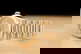 item-209115691=4