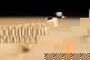 item-209115691=8