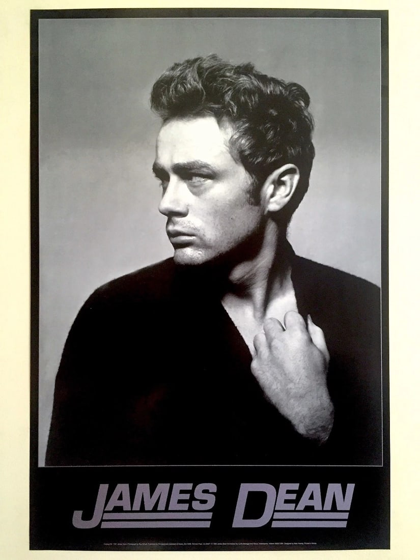 JAMES DEAN FOUNDTION RARE 1995 ICONIC ROY SCHATT 1954 PHOTO COLLECTOR'S POSTER (1 of 12)