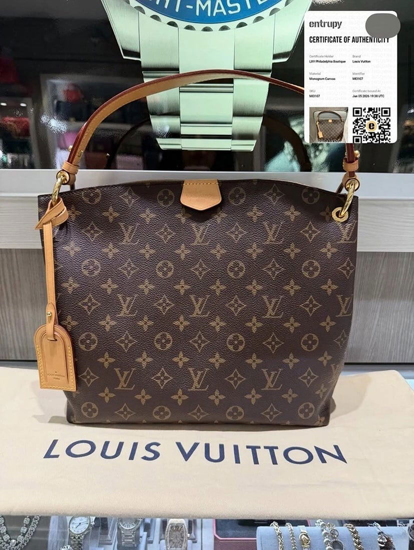 Louis Vuitton Graceful PM hobo in classic Monogram canvas (1 of 15)