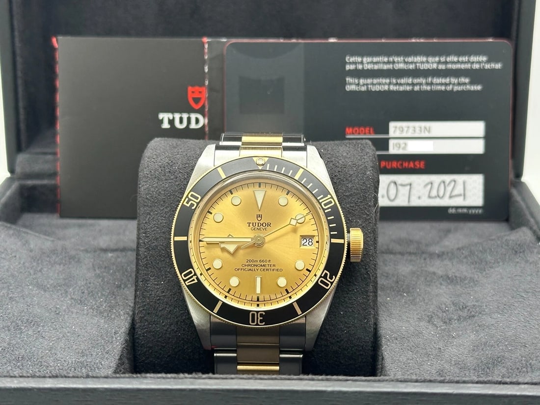 Tudor Black Bay S&G 79733N 41mm 18K Yellow Gold Stainless Steel Box Paper 2021 (1 of 9)