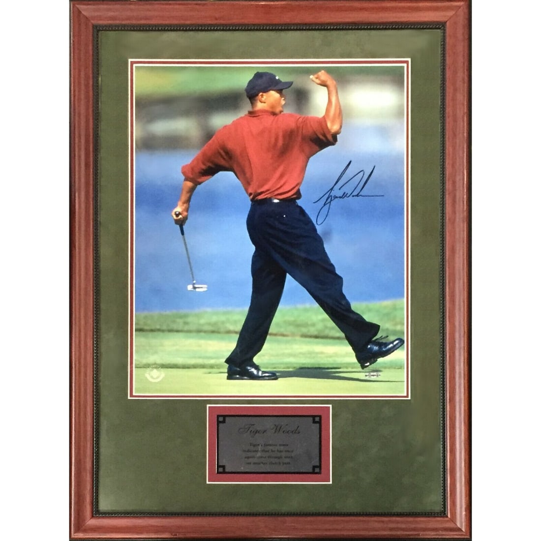 Tiger Woods Signed 16x20 Celebration Photo Framed (UDA COA) (1 of 2)
