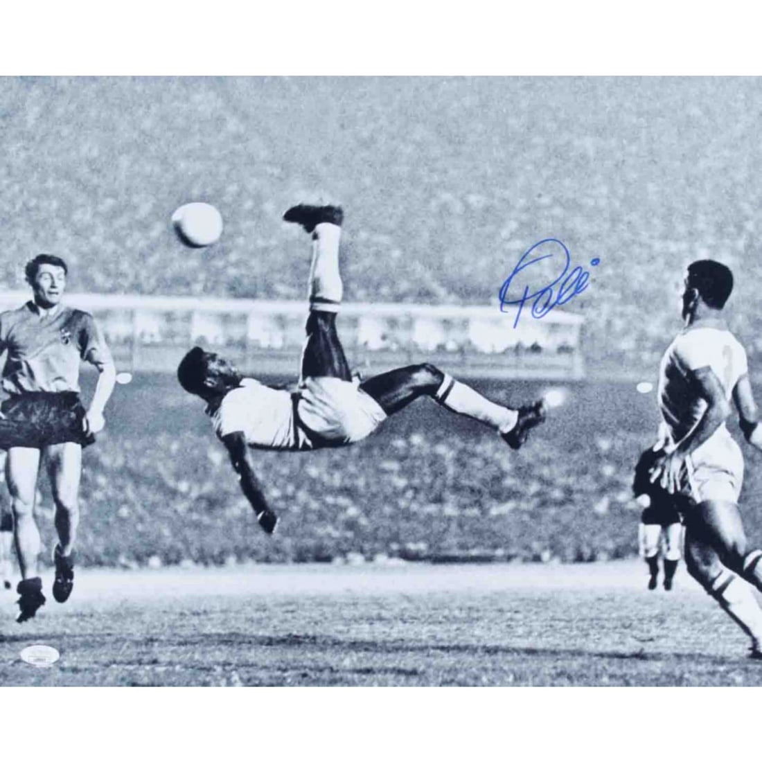 Pele Signed Team Brazil 16x20 Photo (JSA COA): Pele Signed Team Brazil 16x20 Photo (JSA COA)