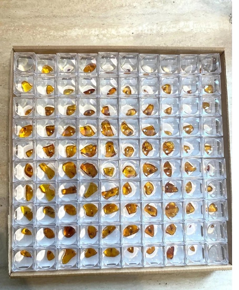 Lot of 100 Fossil Amber Pieces with Insect Inclusions: Condition: New: A brand-new, unused, unopened, undamaged item (including handmade items). See the seller's listing for full details. ,Country of Origin: Denmark