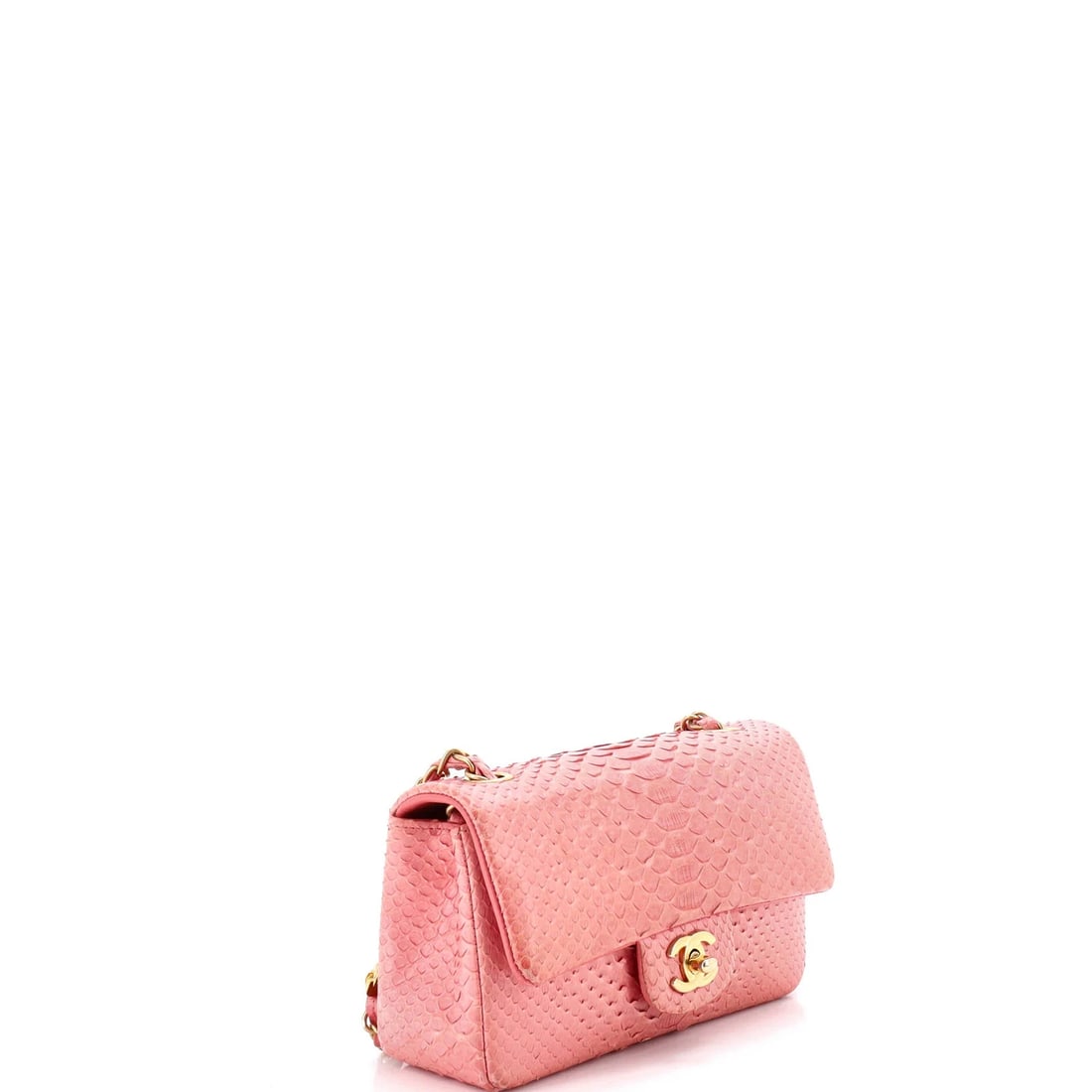 Chanel Classic Single Flap Bag Python Mini - 3