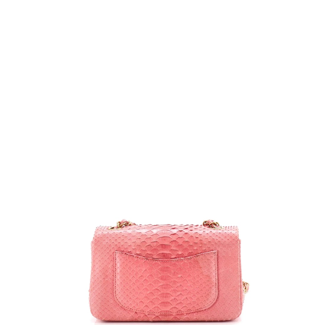 Chanel Classic Single Flap Bag Python Mini - 4