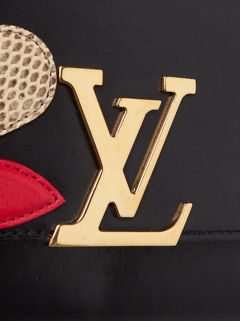 Louis Vuitton Black Leather Python Chain Louise Iris Blossom Clutch Bag - 5