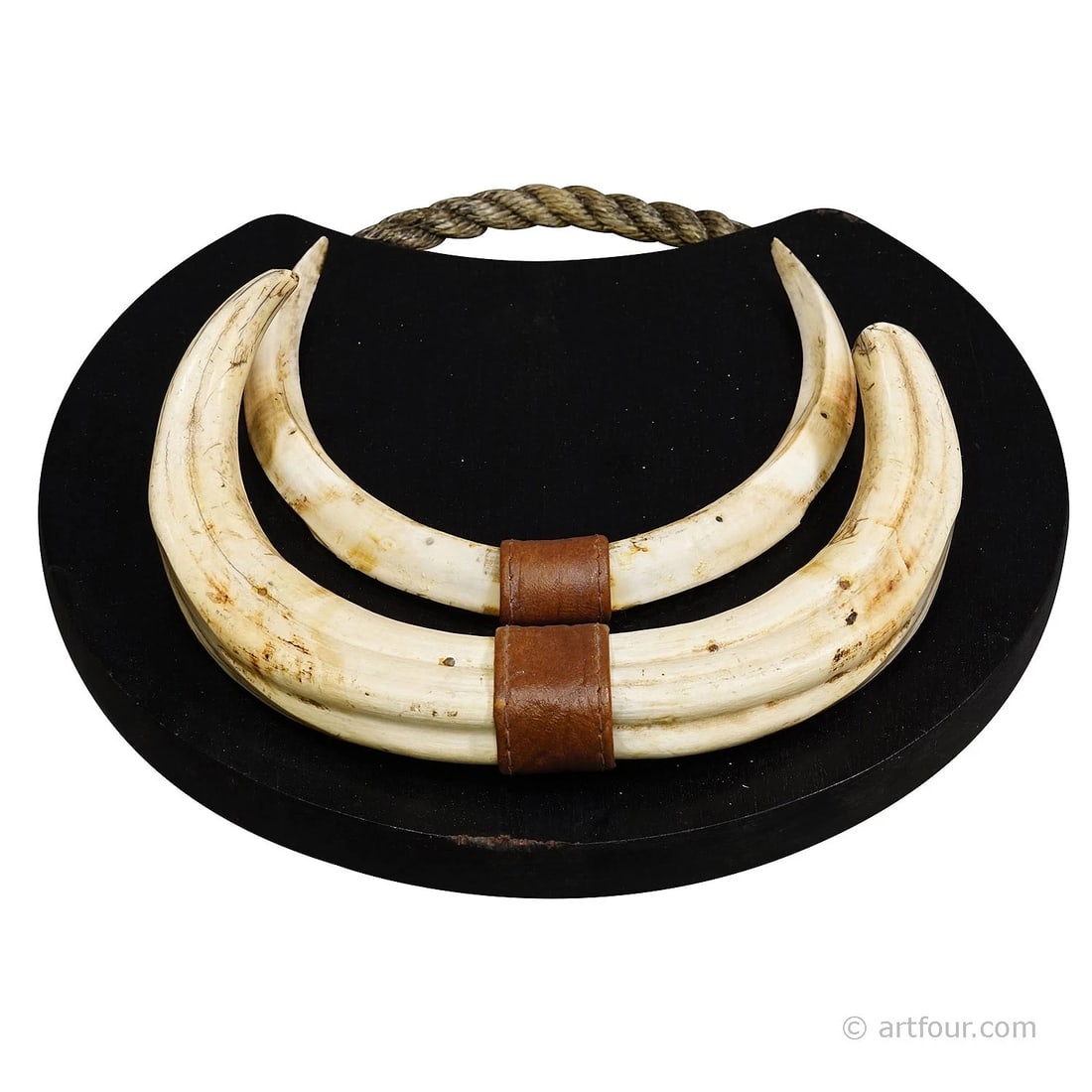 Large Wild Boar Trophy on Wooden Plaque, Germany 1950s (1 of 6)